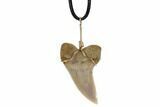 Fossil Mako Tooth Necklace - Bakersfield, California #95249-2